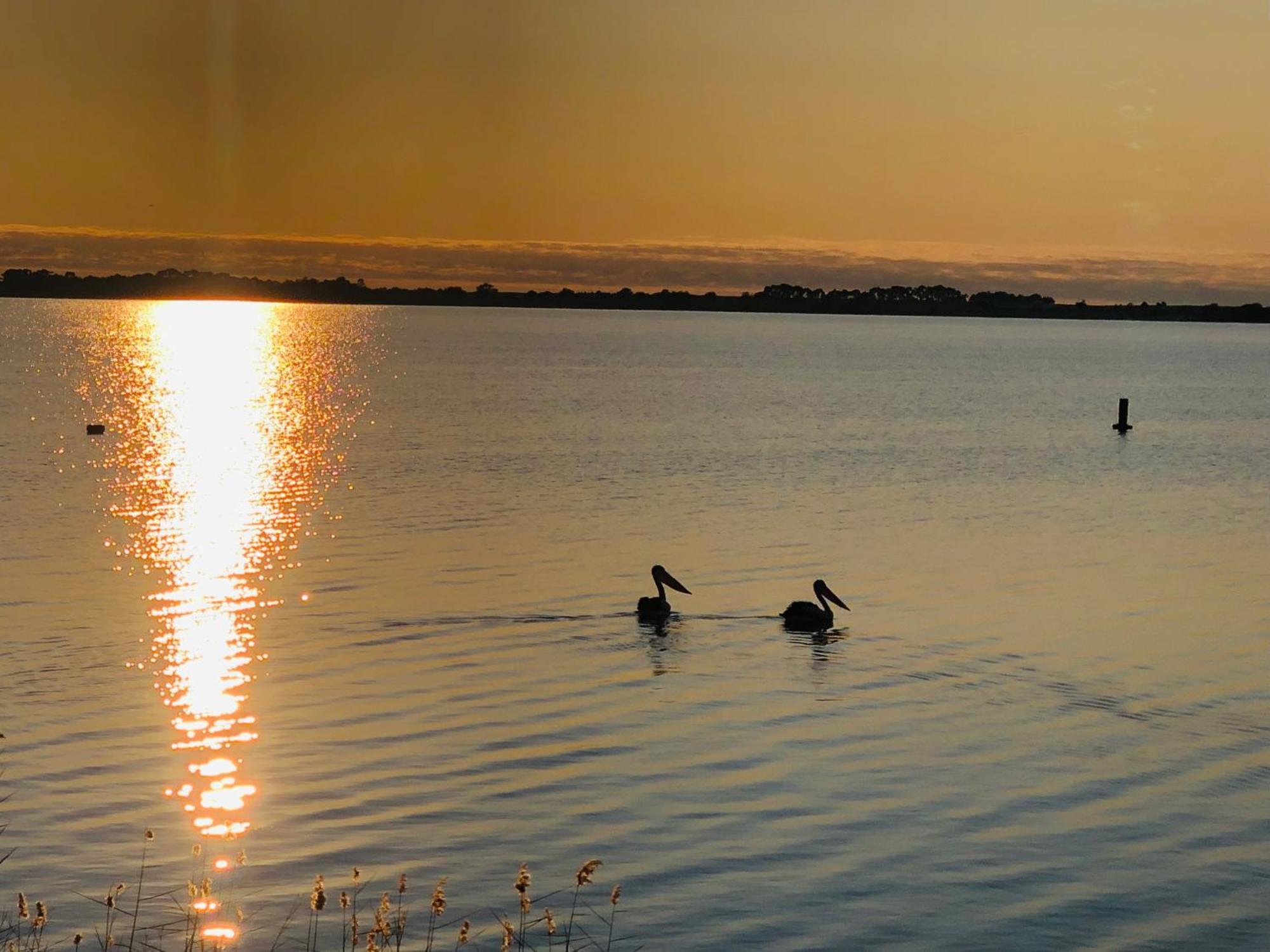 Lake Boga Caravan Park エクステリア 写真