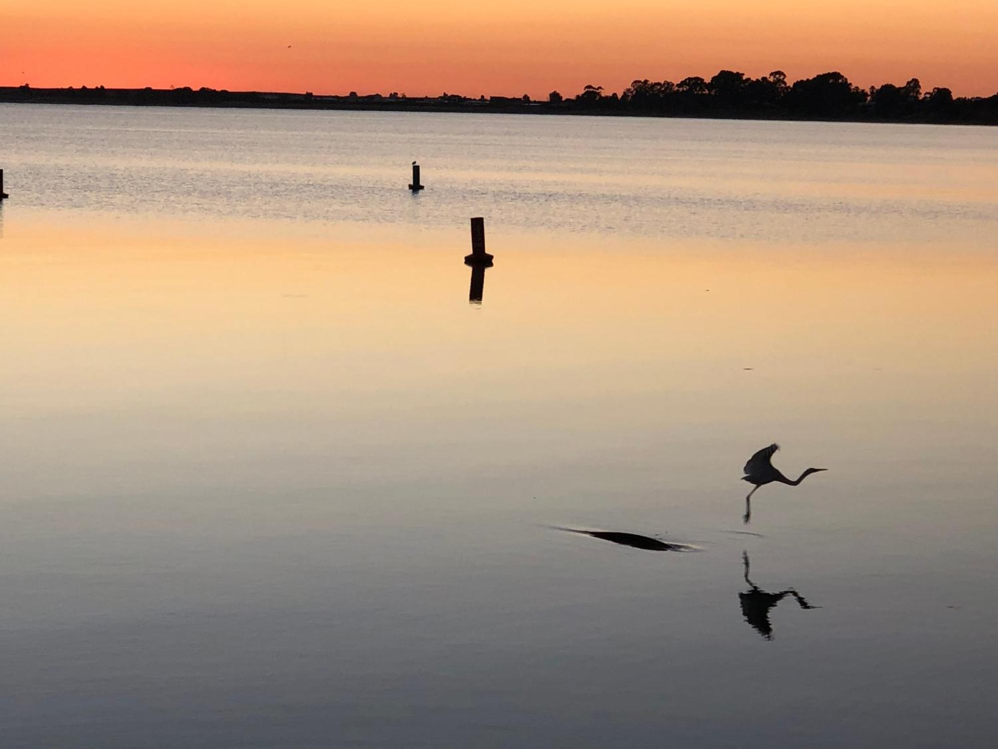 Lake Boga Caravan Park エクステリア 写真